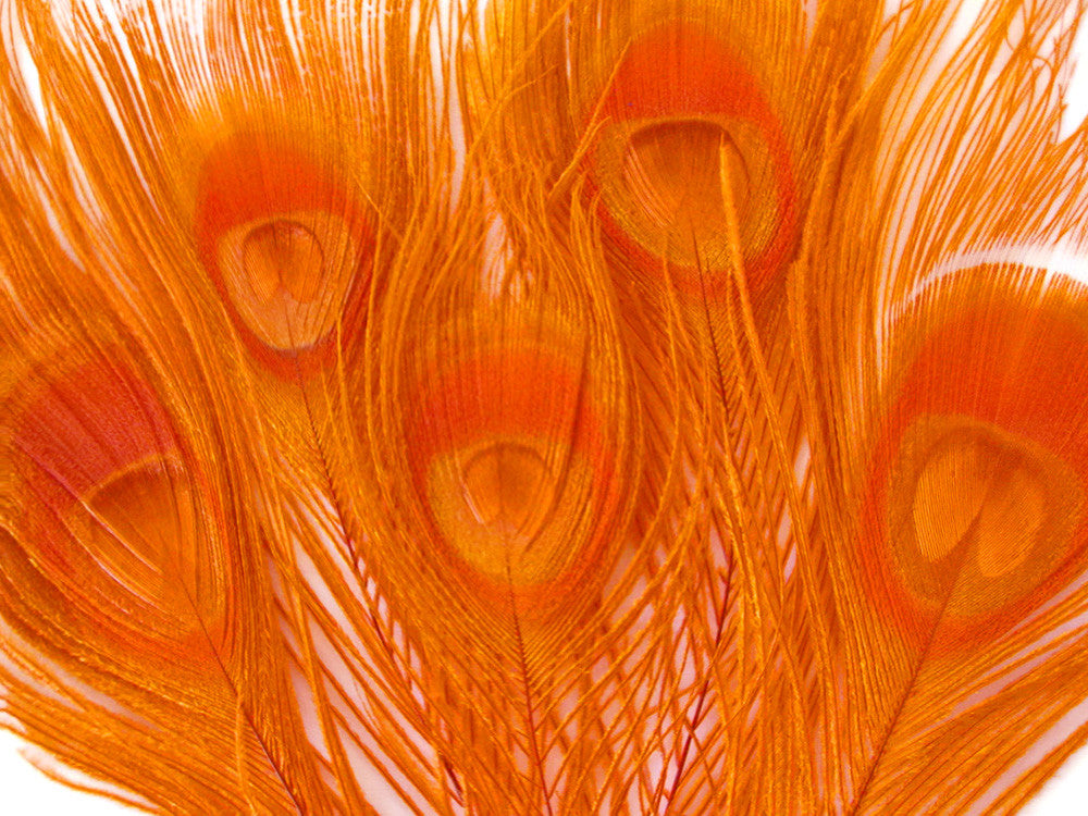 5 Pieces – Orange Bleached & Dyed Peacock Tail Eye Feathers 10-12” Long