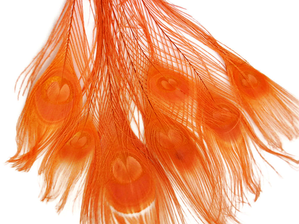 5 Pieces – Orange Bleached & Dyed Peacock Tail Eye Feathers 10-12” Long