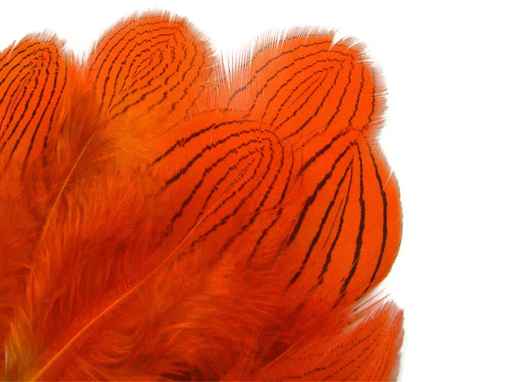 Vibrant orange feathers with black striped patterns for crafts and fashion decor.