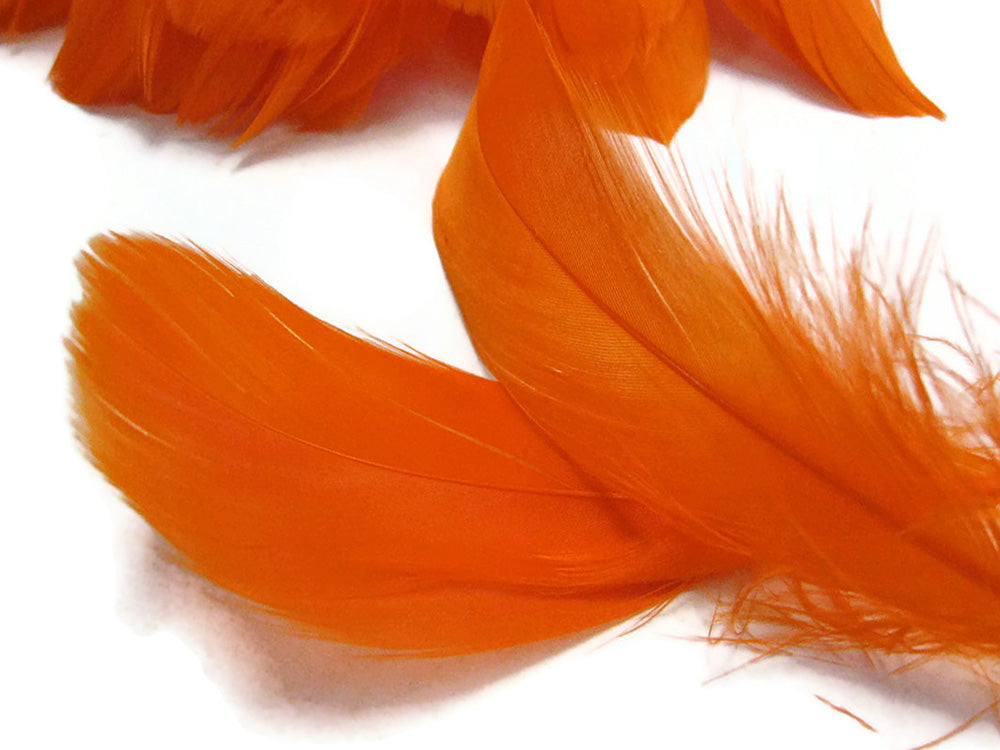1 Pack - Orange Goose Nagoire Loose Feather - 0.25 Oz.