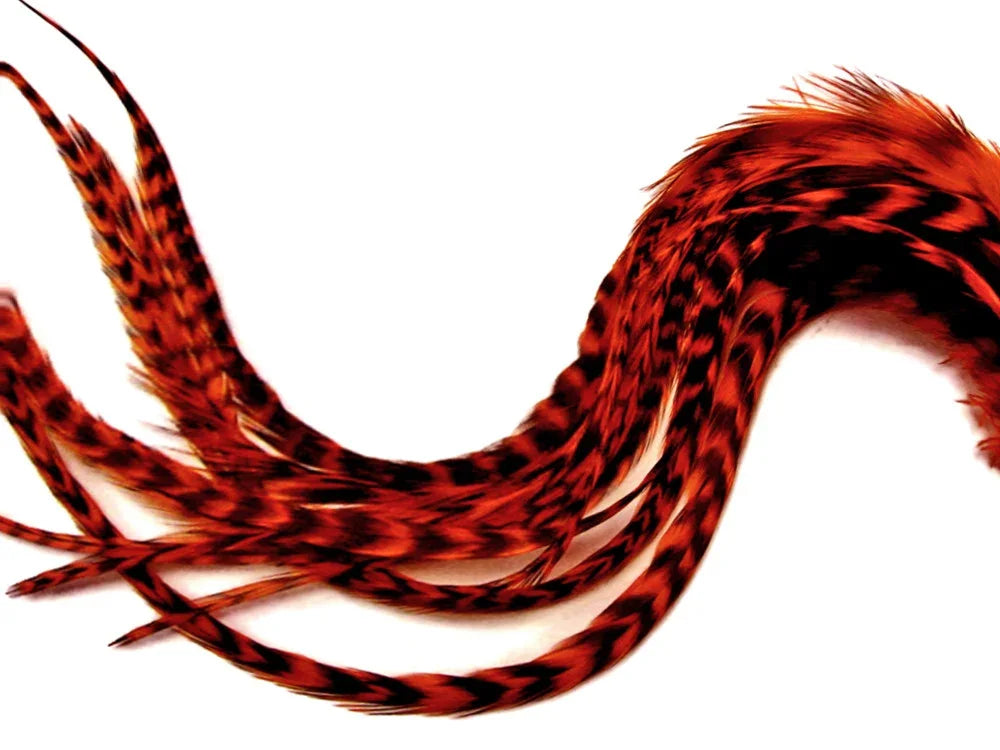 Vibrant red and black patterned feathers for DIY crafts and fashion accessories.
