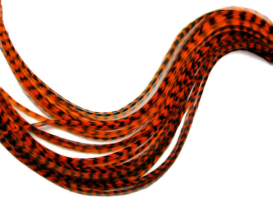 6 Pieces - XL Orange Grizzly Thin Whiting Farm Rooster Hair Extension Feathers 11” and Up