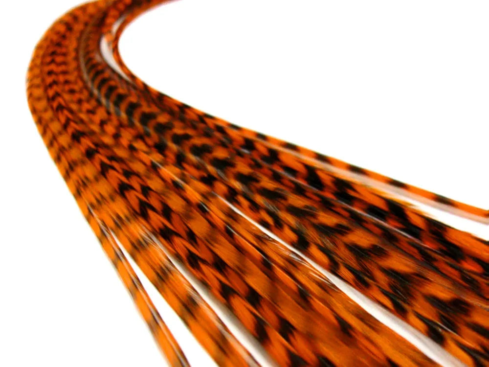 Curved orange and black patterned feathers for DIY crafts and fashion accessories.