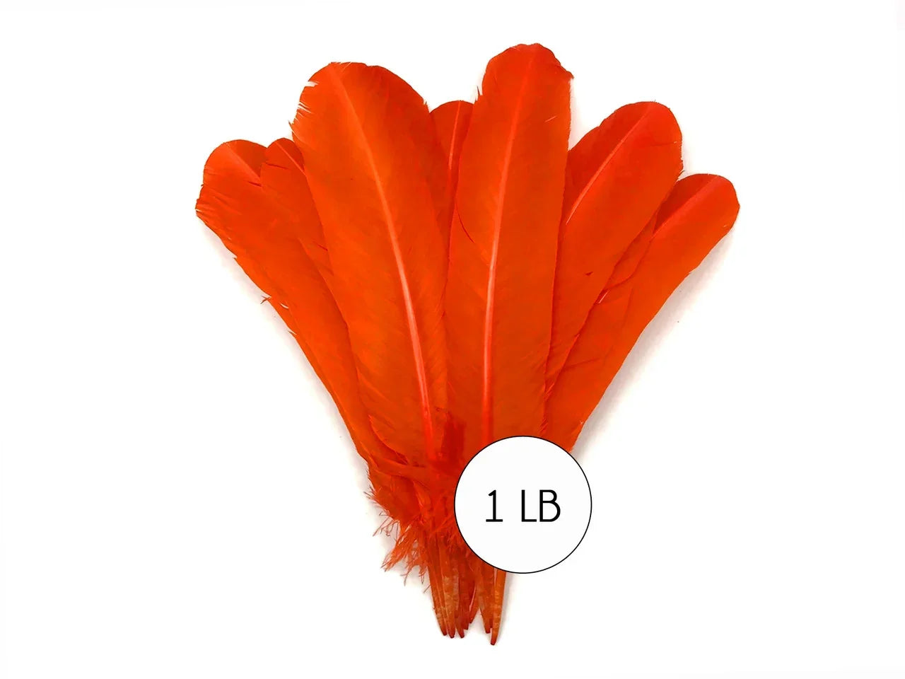 Vibrant orange feathers for DIY crafts and fashion decor, 1 lb bulk pack.