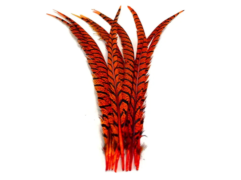Vibrant orange and black patterned feathers for crafts and fashion DIY supplies.