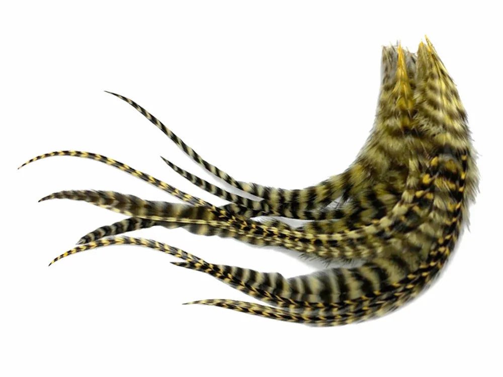 Natural striped pheasant feathers for DIY crafts and fashion accessories.
