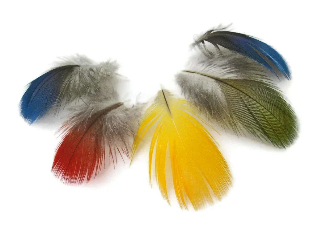 Assorted colorful craft feathers in red, yellow, blue, and green on a white background.