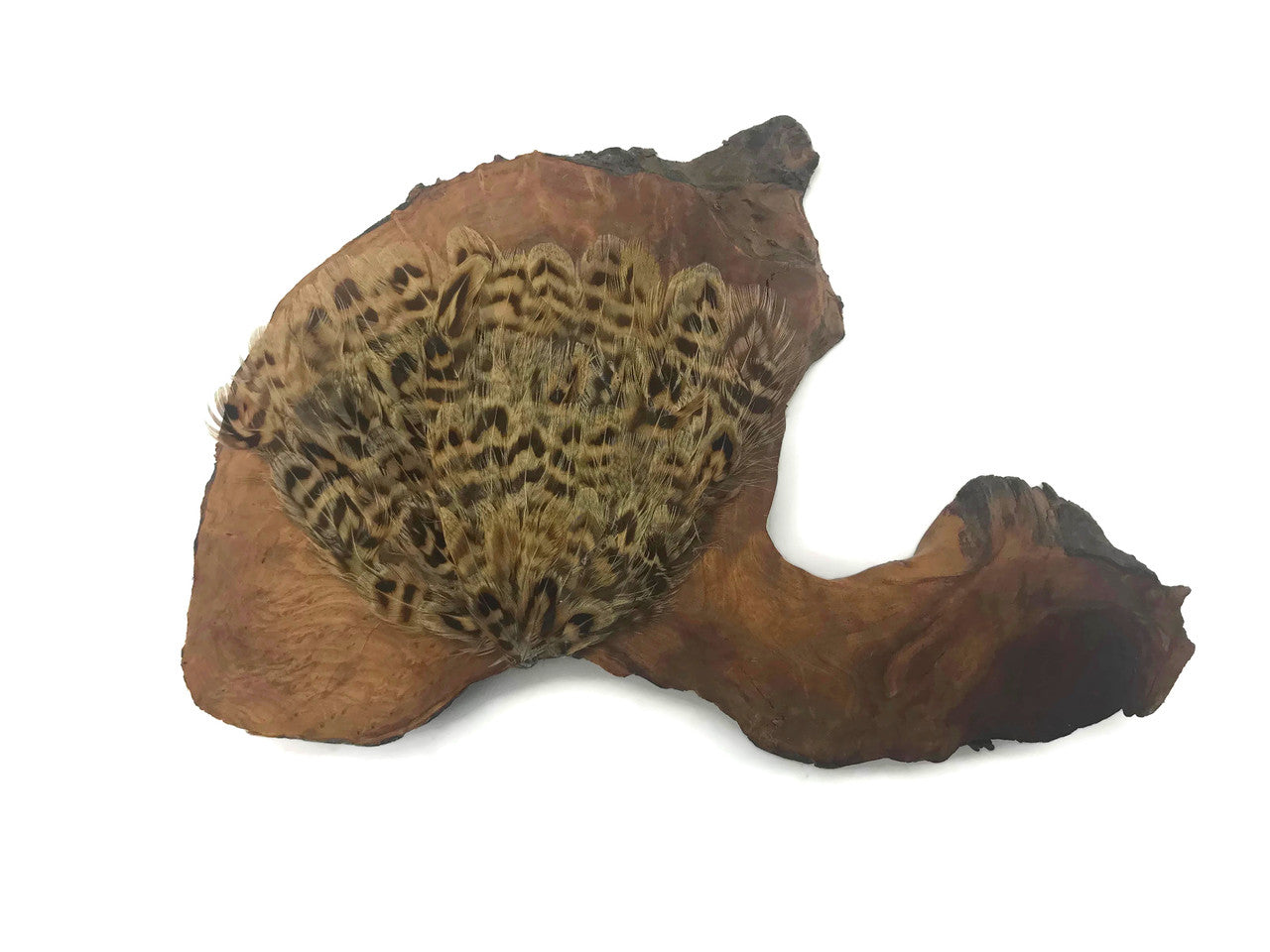 1 Piece - Natural Brown Partridge Hen Feather Pad