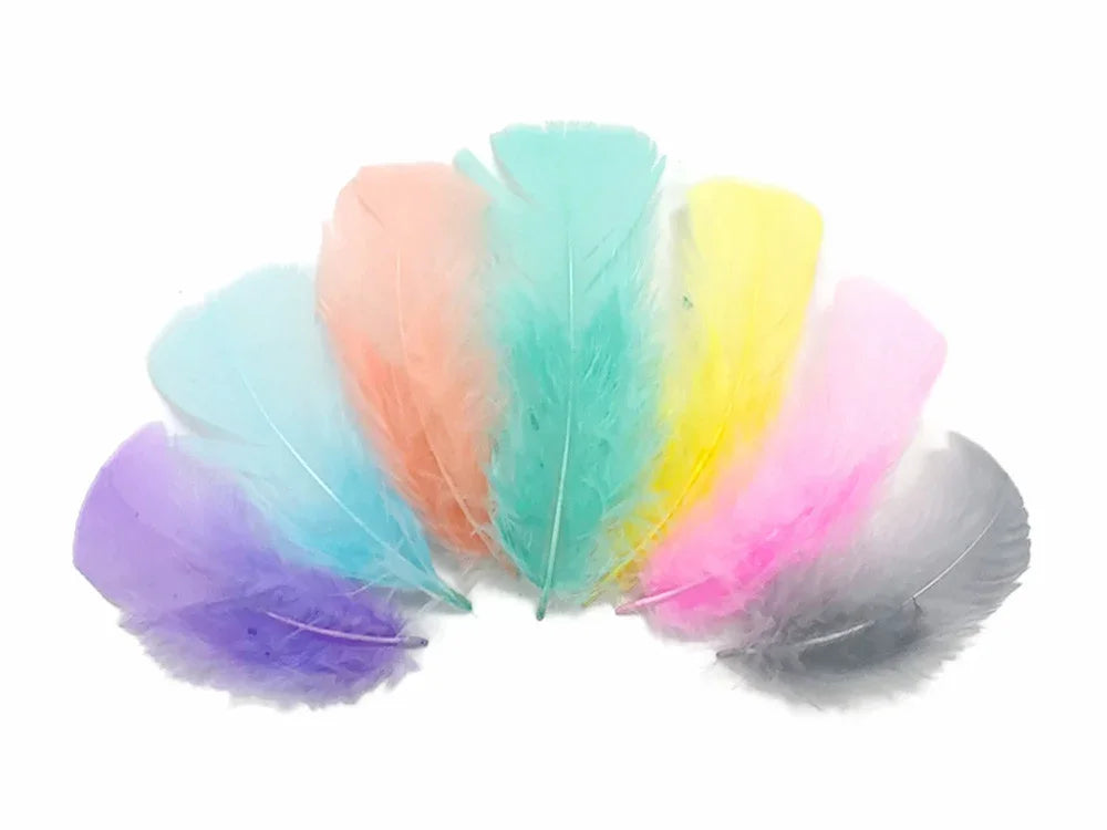 Assorted pastel colored craft feathers in pink, blue, yellow, and purple on a white background.