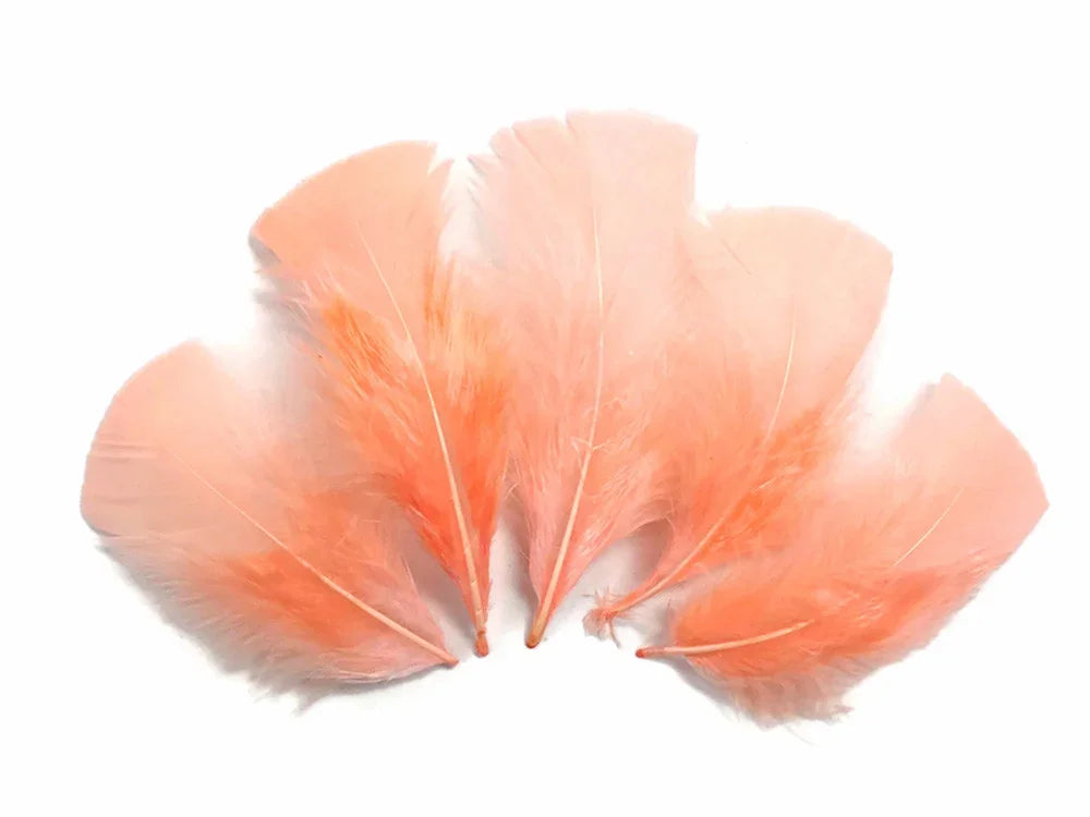 Five soft peach colored feathers for DIY crafts and fashion decor on a white background.