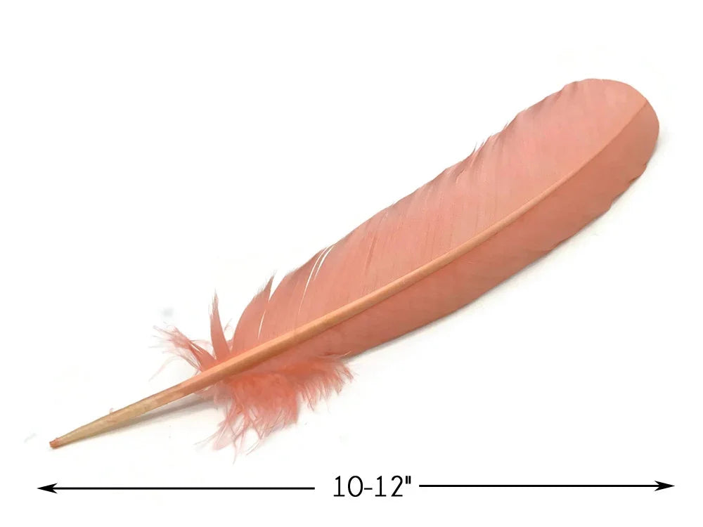 Single large peach-colored craft feather, 10-12 inches long, for DIY fashion and decor.