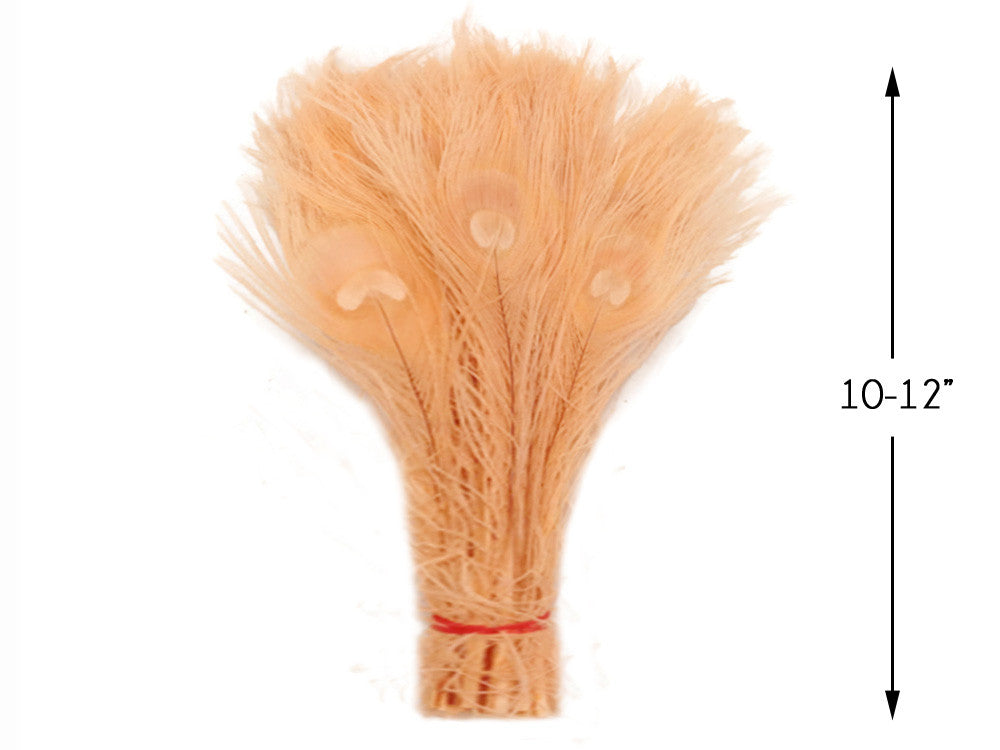 5 Pieces – Peach Pink Bleached & Dyed Peacock Tail Eye Feathers 10-12” Long