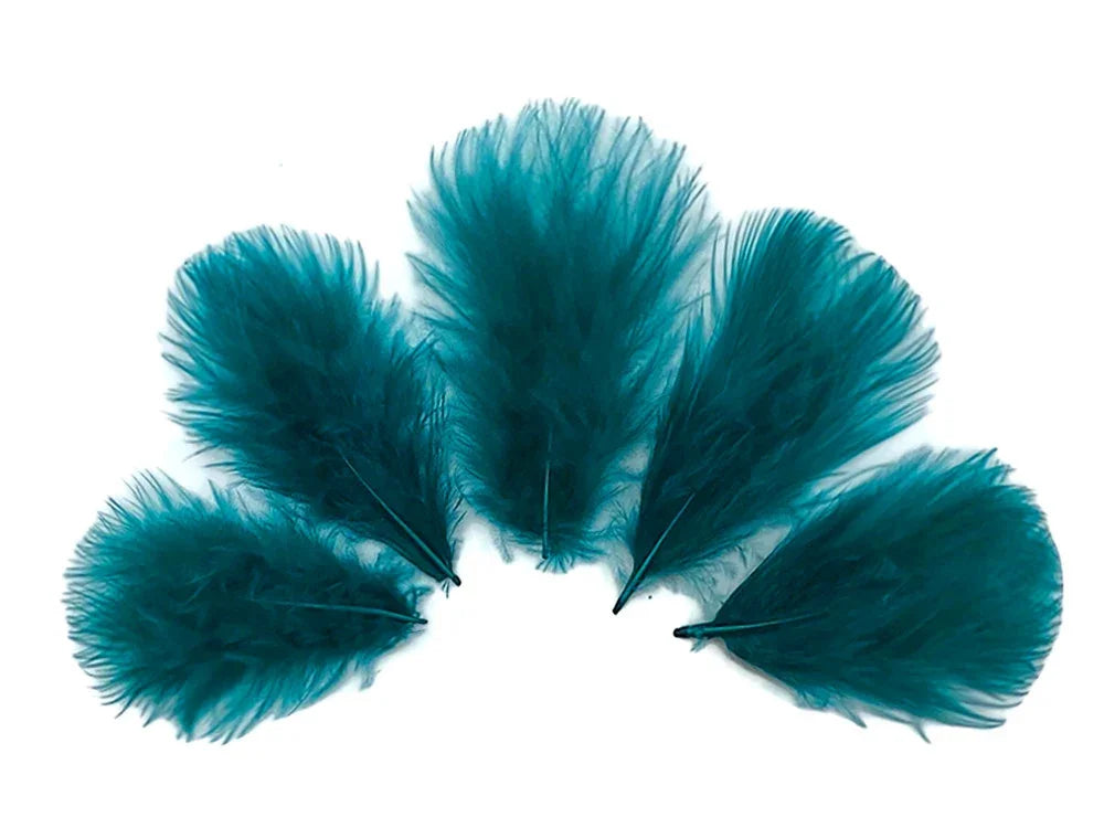Five vibrant teal feathers arranged in a fan shape on a white background.