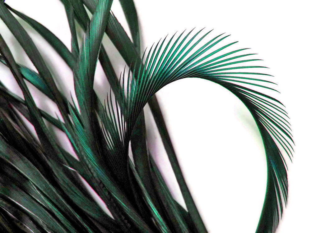 1 Yard - Peacock Green Goose Biots Stripped Wing Wholesale Feather Trim