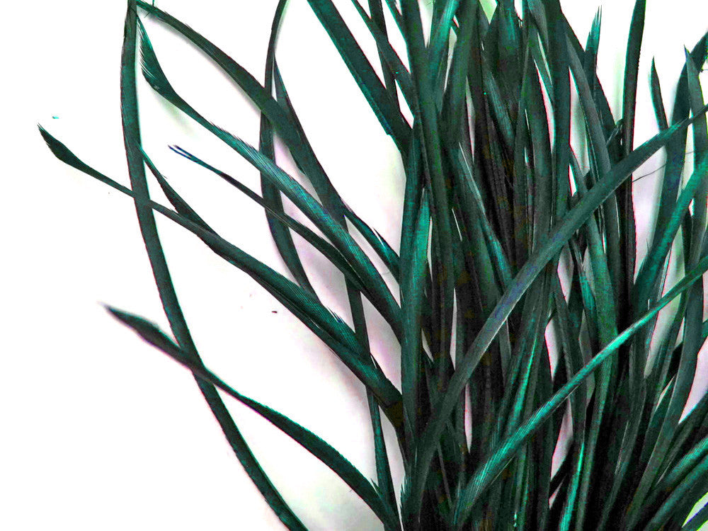 1 Yard - Peacock Green Goose Biots Stripped Wing Wholesale Feather Trim