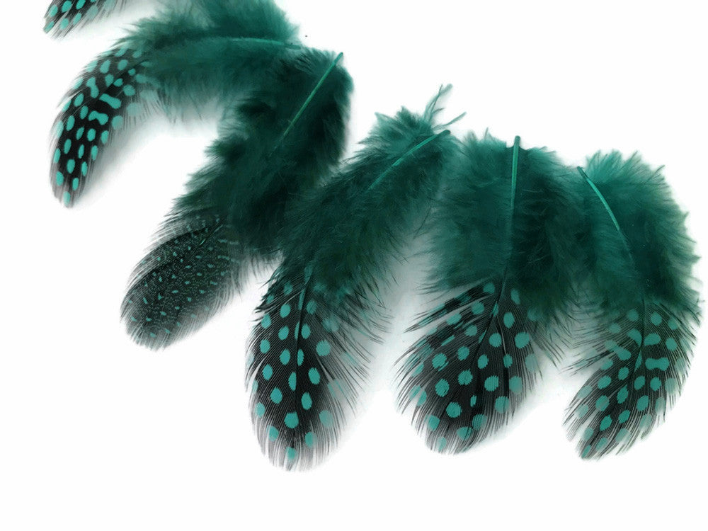 1 Pack - Peacock Blue Guinea Hen Polka Dot Plumage Feathers 0.10 Oz.