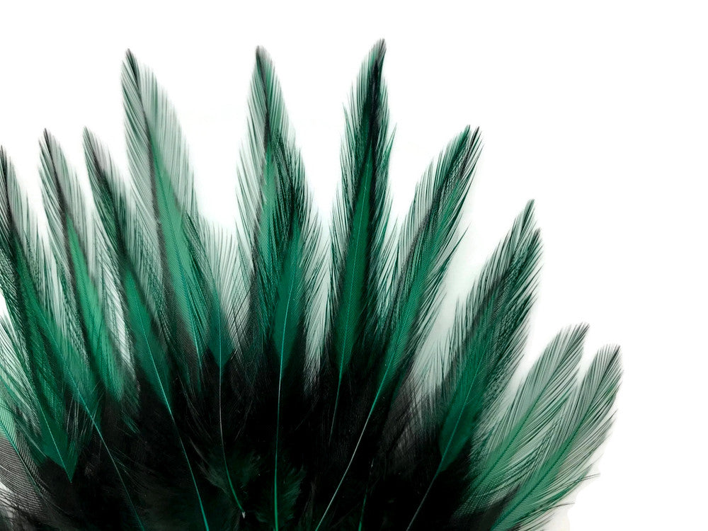 10 Pieces - Peacock Green Dyed BLW Laced Short Rooster Cape Whiting Farms Feathers