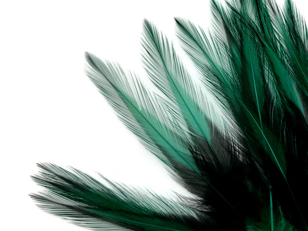 10 Pieces - Peacock Green Dyed BLW Laced Short Rooster Cape Whiting Farms Feathers