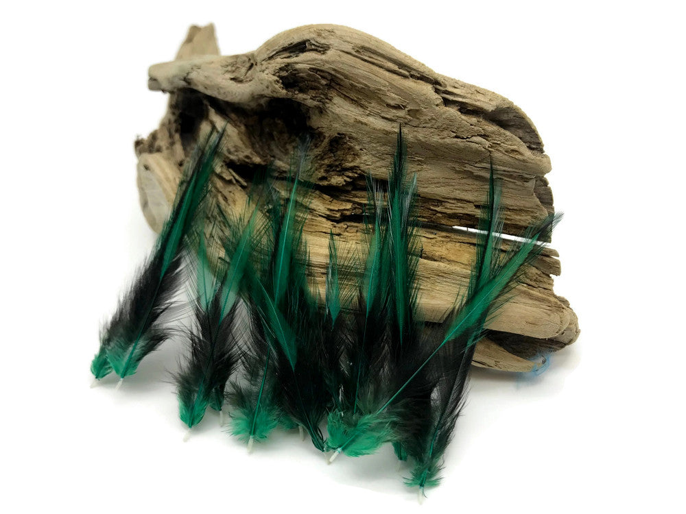 10 Pieces - Peacock Green Dyed BLW Laced Short Rooster Cape Whiting Farms Feathers