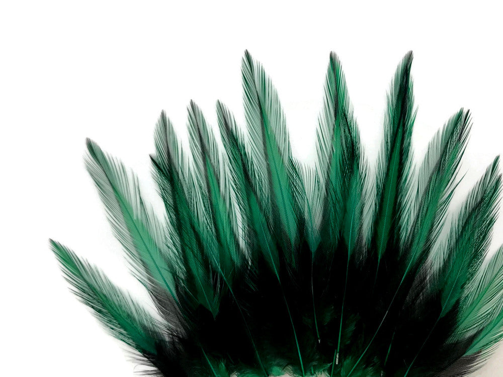10 Pieces - Peacock Green Dyed BLW Laced Short Rooster Cape Whiting Farms Feathers