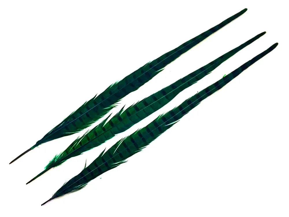 Three long, dark green striped feathers for crafts and fashion decor.