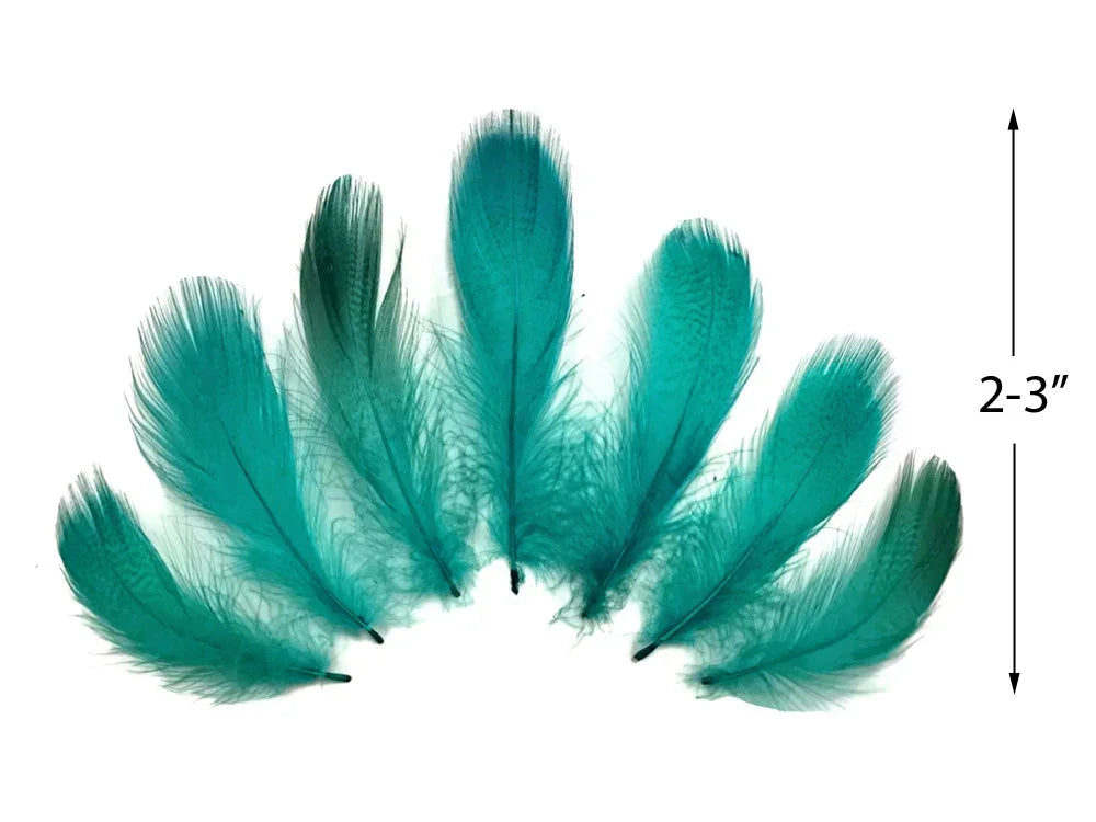 Teal blue craft feathers arranged in a fan shape, 2-3 inches in length.