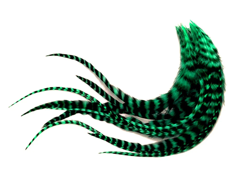 Vibrant green and black striped decorative feathers for DIY crafts and fashion accessories.