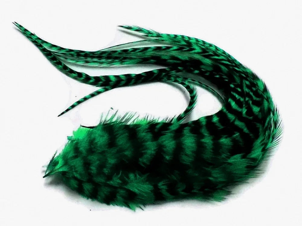 Vibrant green and black striped decorative feathers for DIY crafts and fashion accessories.