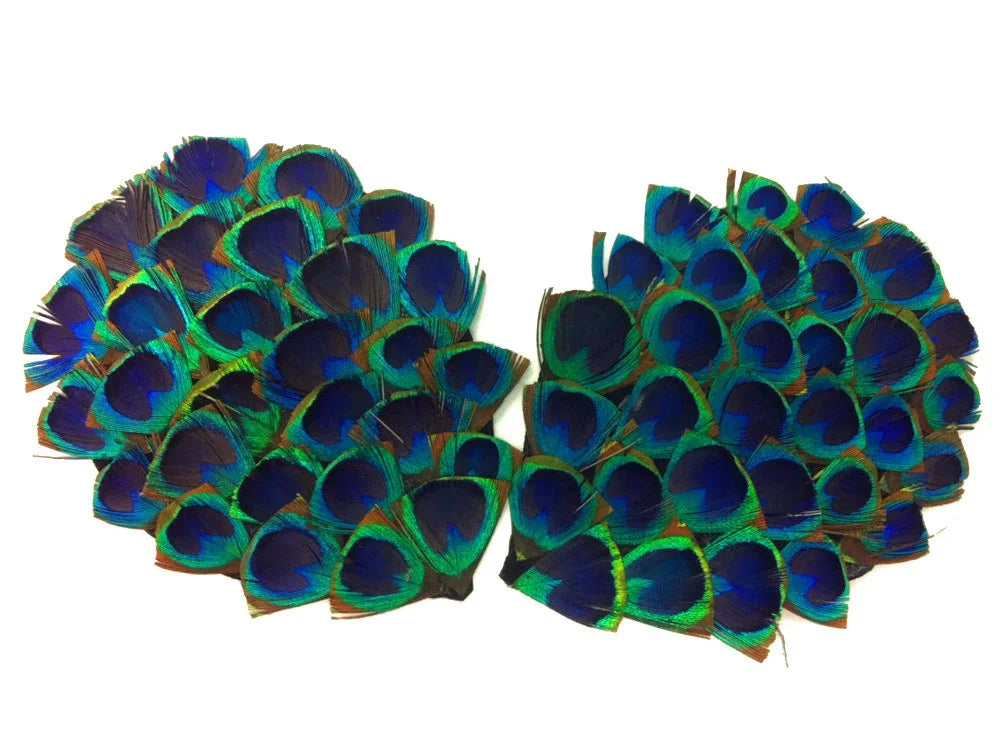 Vibrant peacock feathers arranged in a decorative wing shape for crafts and fashion.