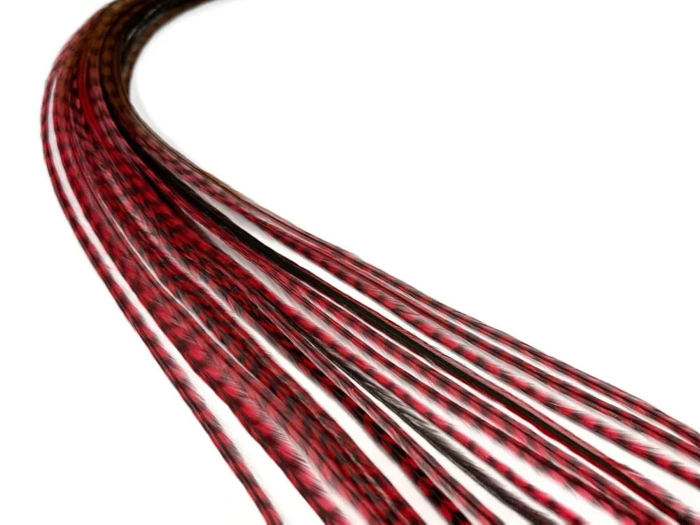 Red and black patterned decorative feathers for DIY crafts and fashion accessories.