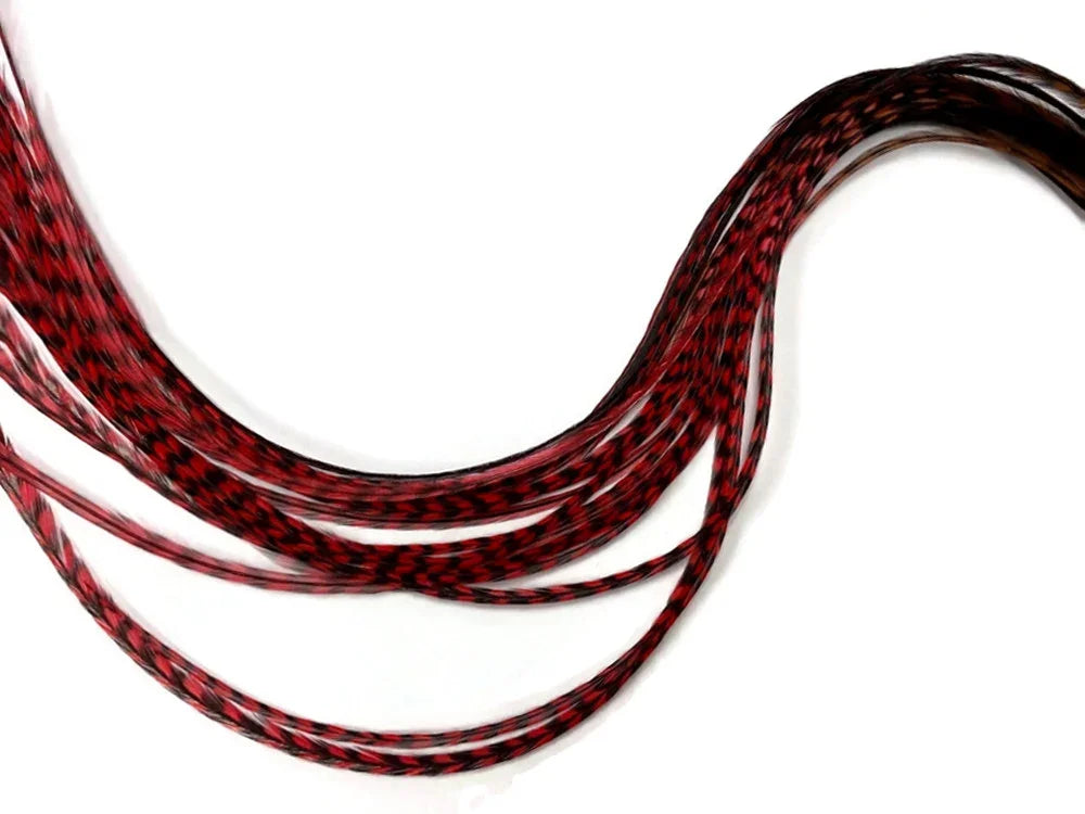 Red and black patterned craft feathers for DIY fashion and decor accessories.