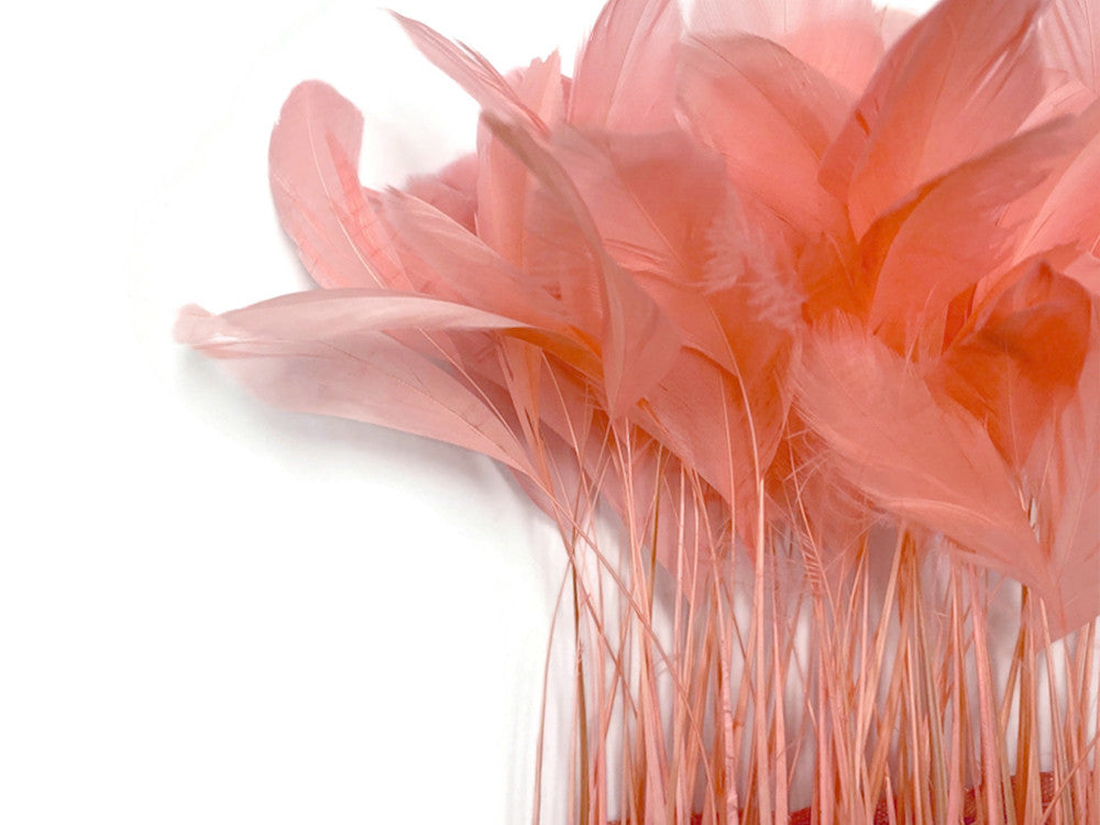 1 Dozen - Pink Blush Stripped Rooster Coque Tail Feathers
