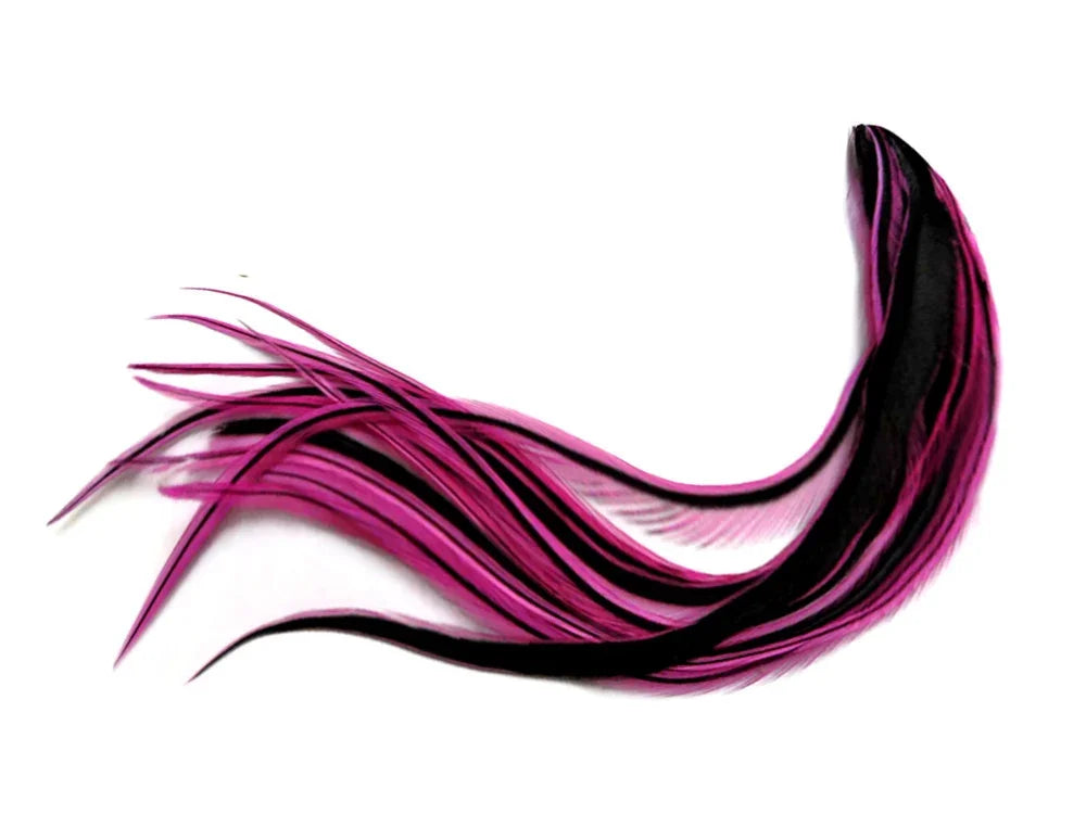 Vibrant pink and black decorative feathers for DIY crafts and fashion accessories.