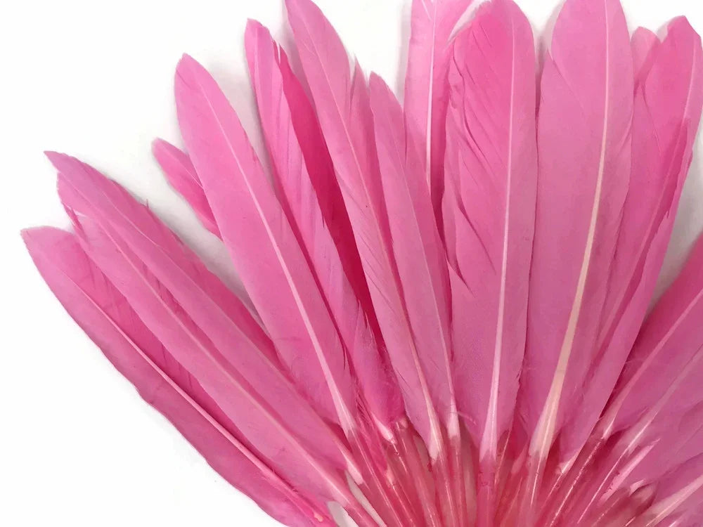 Vibrant pink dyed feathers arranged in a fan shape for DIY crafts and fashion decor.