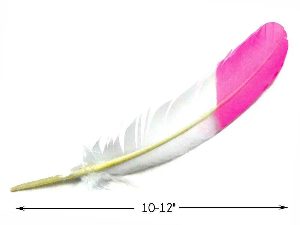 Single white and bright pink dyed feather for crafts, 10-12 inches long