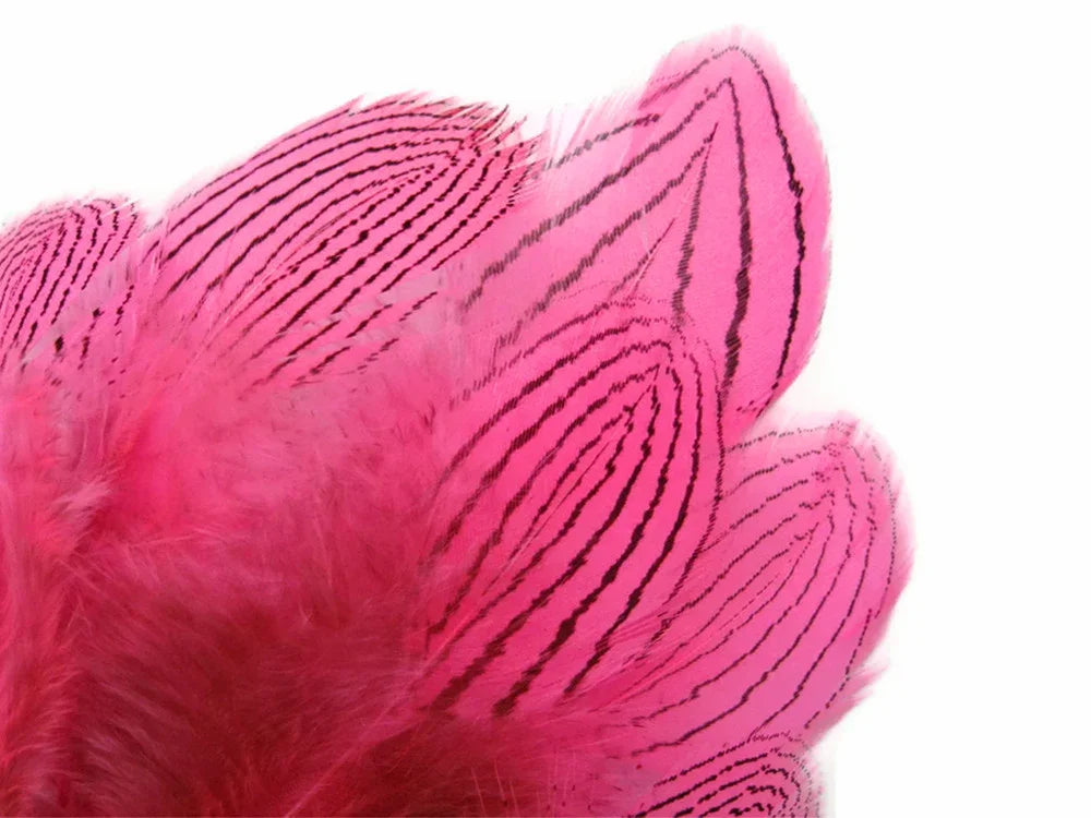 Vibrant pink feathers with black striped patterns for crafts and fashion DIY supplies.