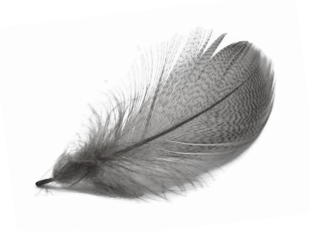 1 Pack - Platinum Grey Mallard Duck Flank Feathers 0.10 Oz.