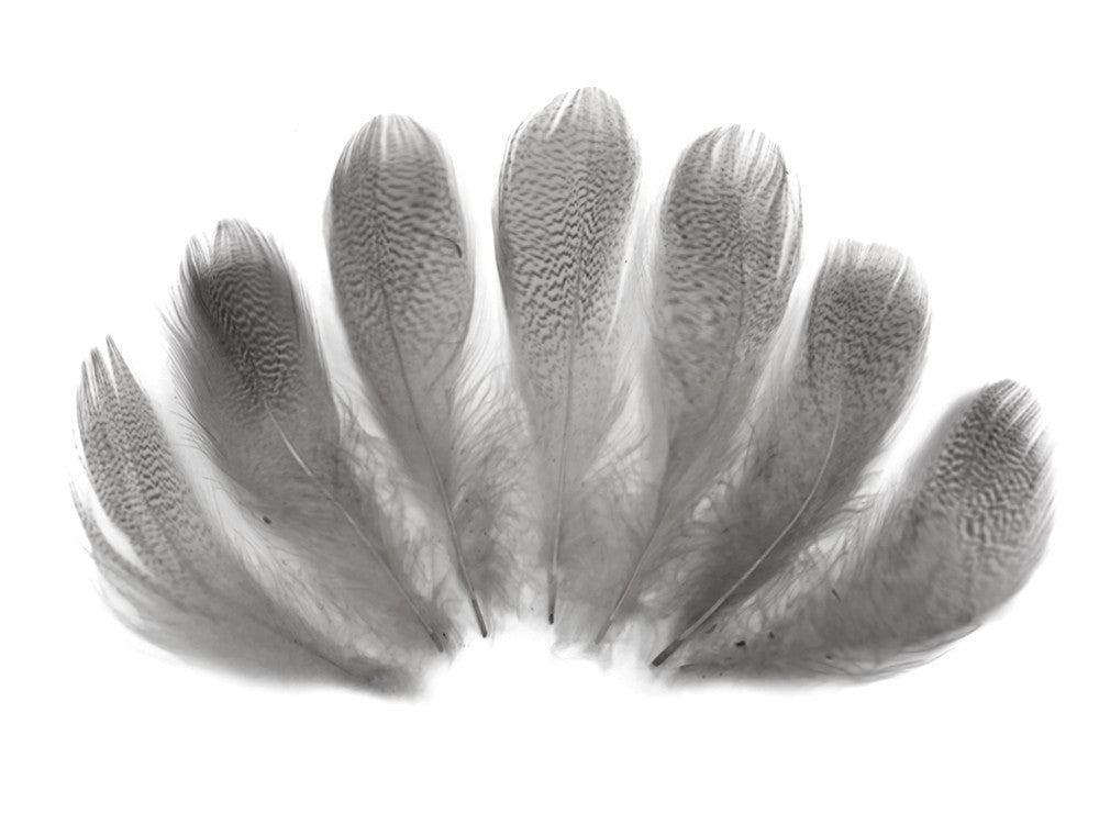 1 Pack - Platinum Grey Mallard Duck Flank Feathers 0.10 Oz.