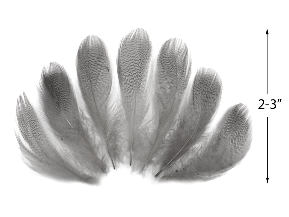 Set of gray patterned craft feathers, 2-3 inches in length for DIY fashion and decor.