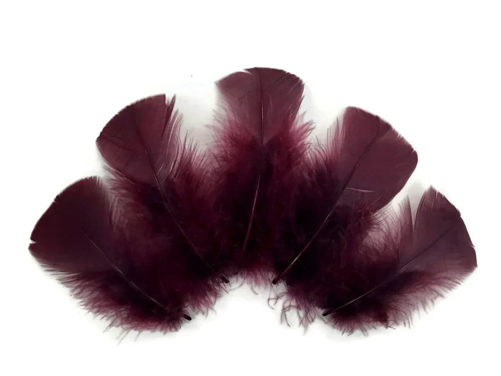 Deep burgundy maroon feathers for DIY crafts and fashion decor on a white background.
