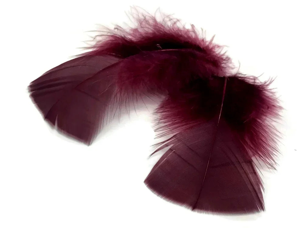 Two deep burgundy maroon feathers for DIY crafts and fashion decor.