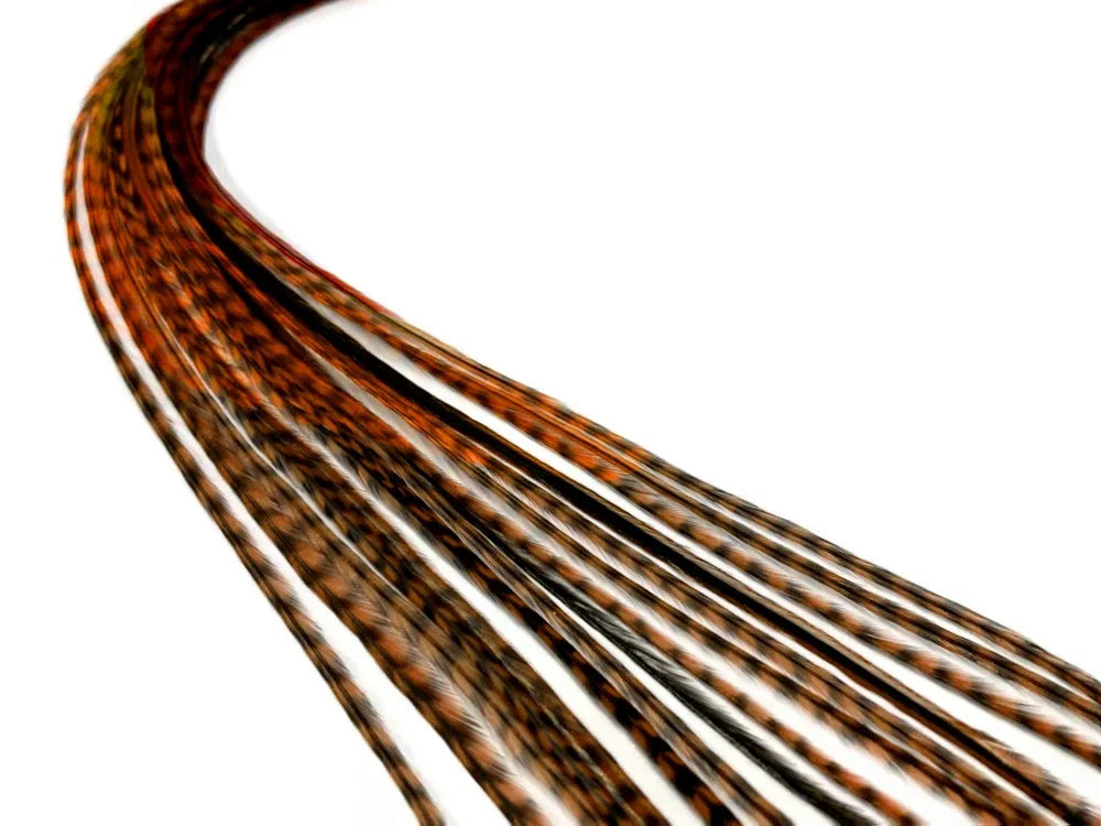 Long, patterned brown and black decorative feathers for DIY crafts and fashion accessories.