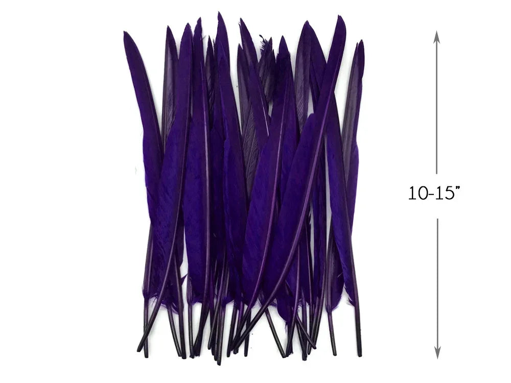 Long purple feathers for crafts and fashion, 10-15 inches in length.