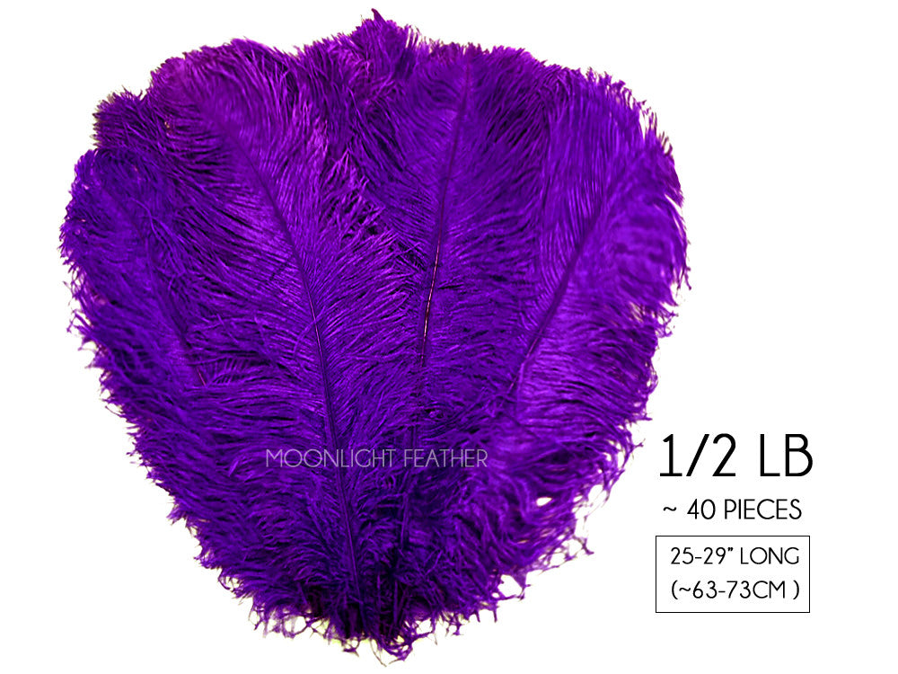 1/2 Lb. - 25-29" Purple Large Ostrich Wing Plume Wholesale Feathers (Bulk)