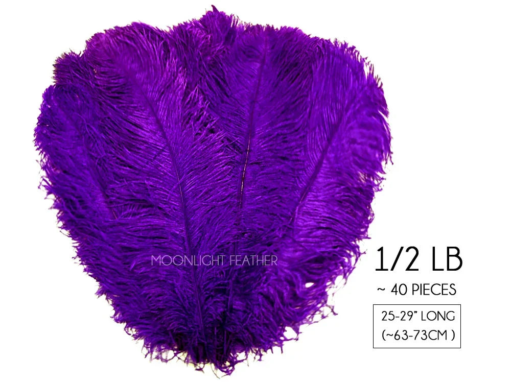 Vibrant purple ostrich feathers for crafts and fashion decor, 25-29 inches long.