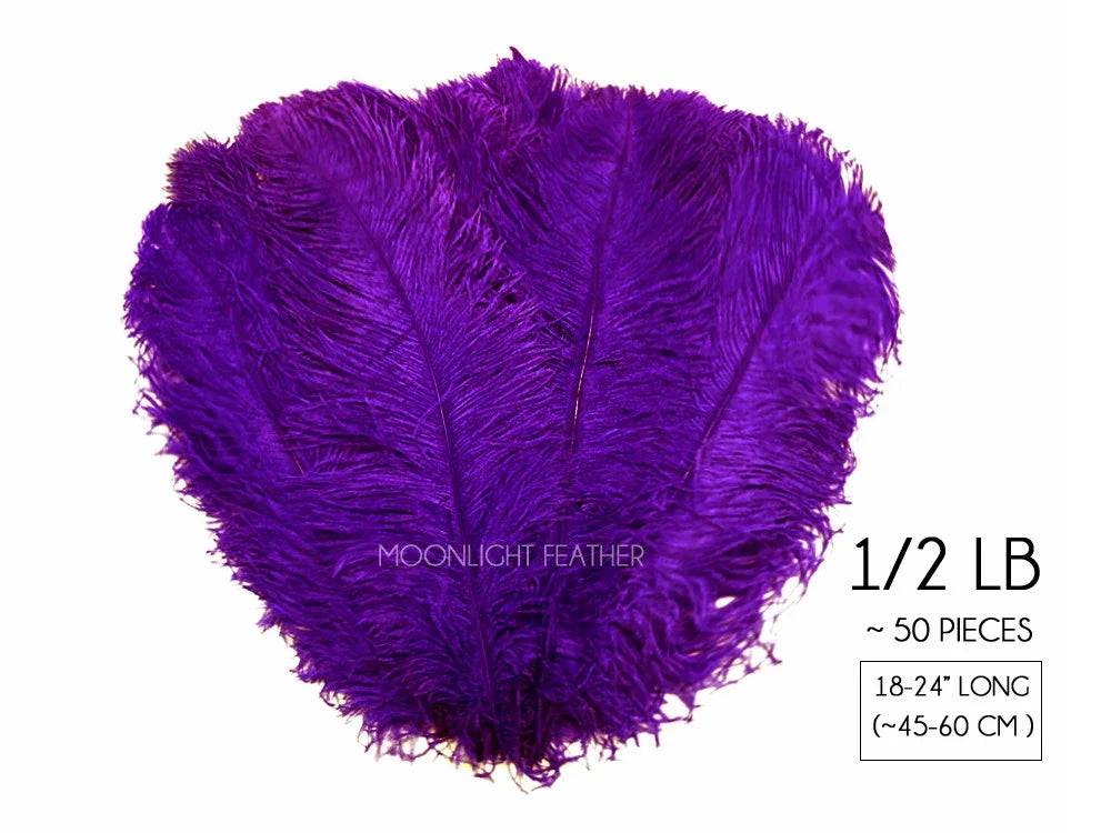 1/2 lb of purple ostrich feathers, approximately 50 pieces, 18-24 inches long.