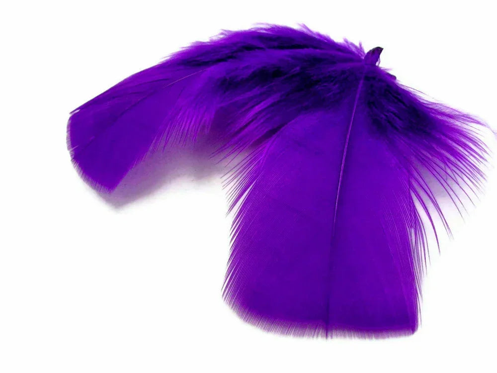 Vibrant purple dyed feathers for craft and fashion DIY projects.