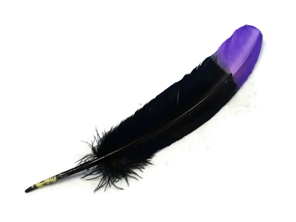 Single black feather with a vibrant purple tip for crafts and fashion décor.
