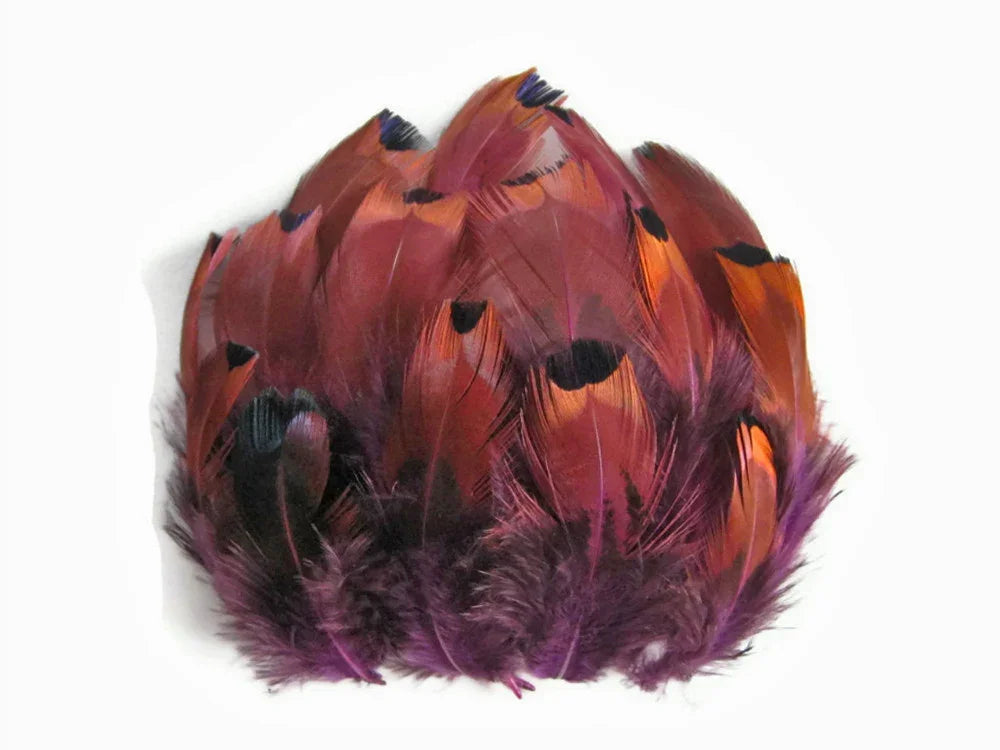 Vibrant reddish-brown and purple feathers for DIY crafts and fashion decor.