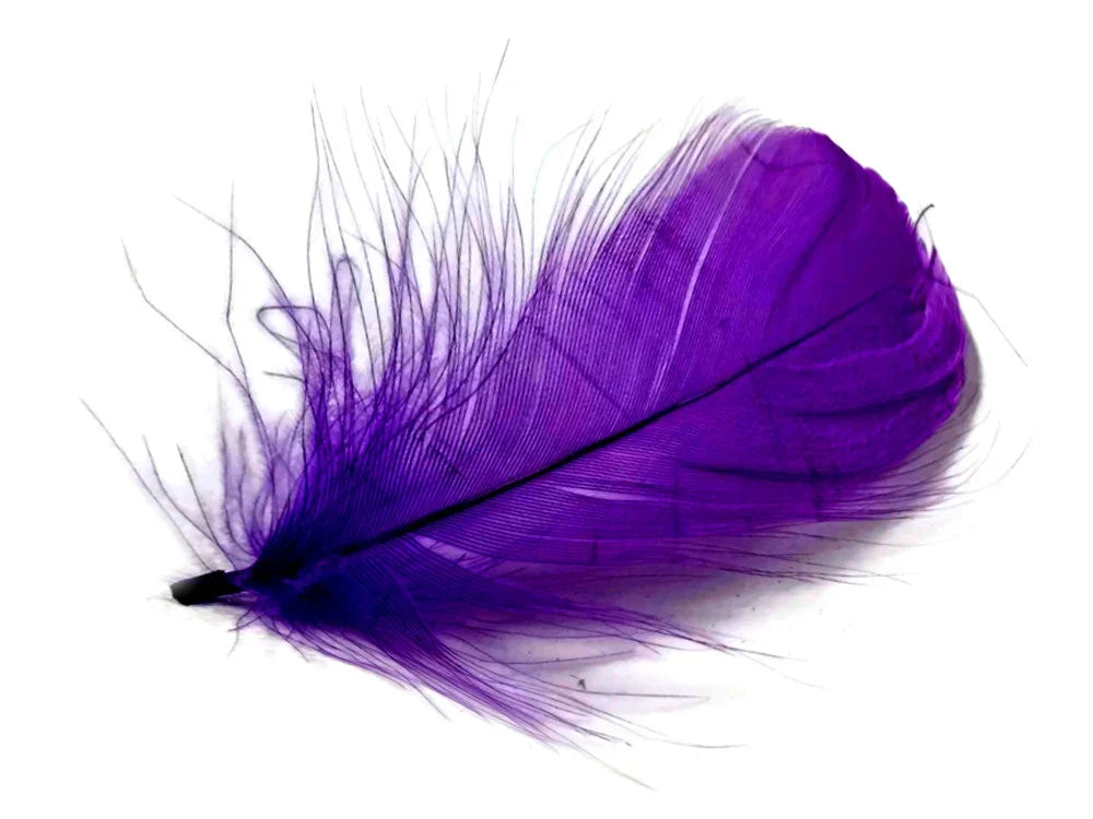 Vibrant purple craft feather for DIY fashion and décor accessories.